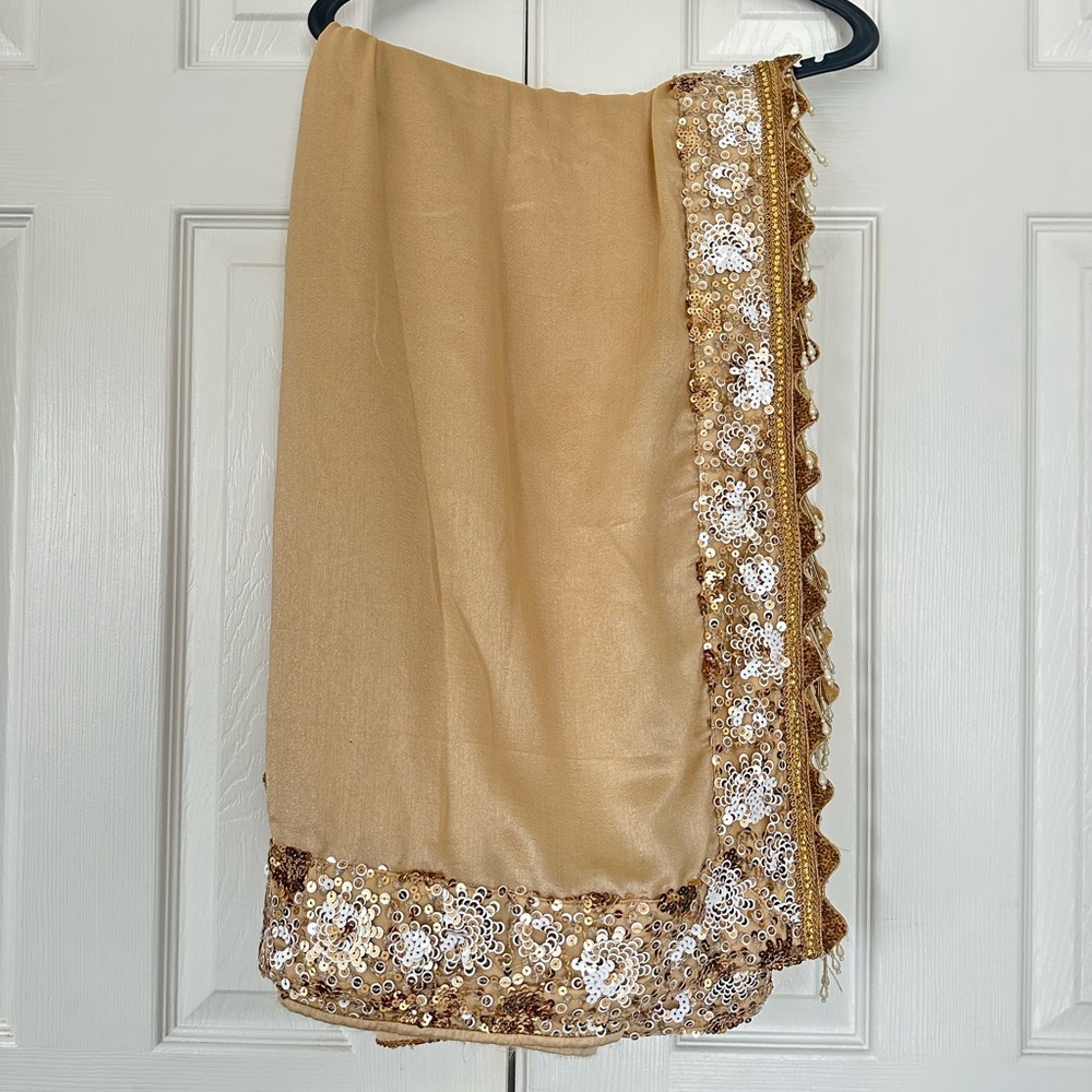 Silk saree with seqin blouse set - Picture 6 of 11